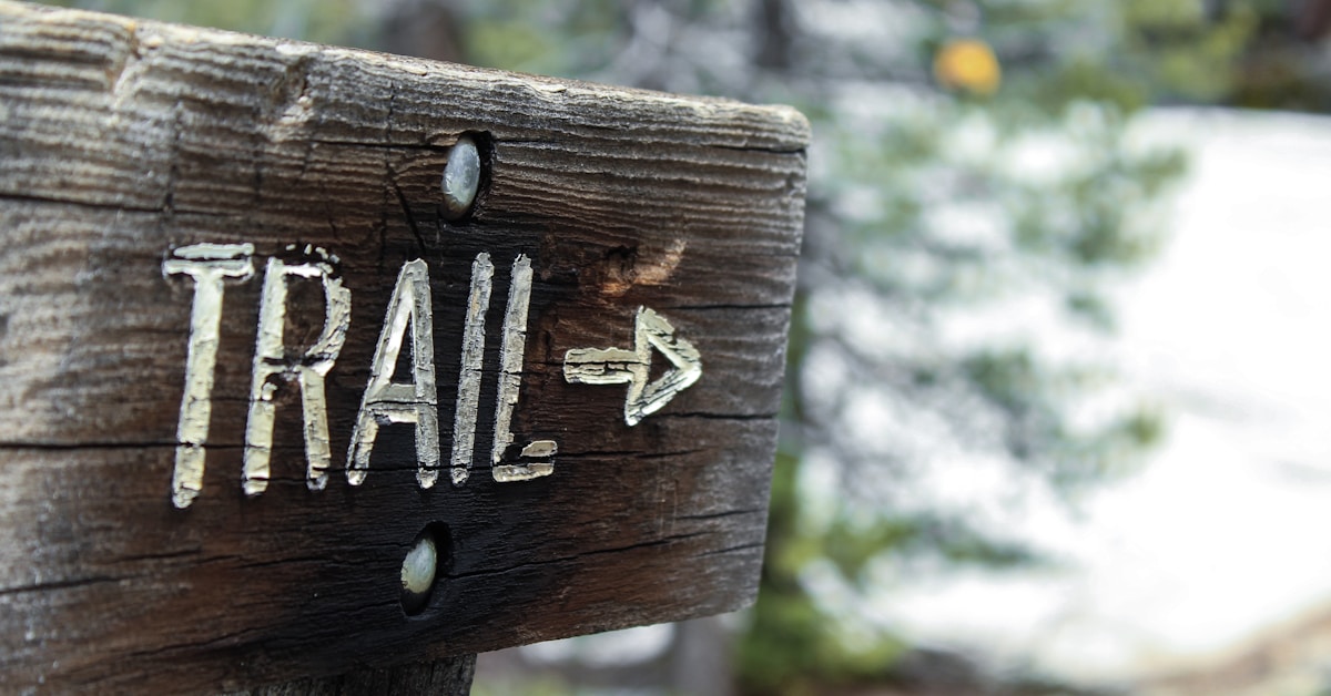 6 Audit Trail Management Best Practices to Streamline Your Audits