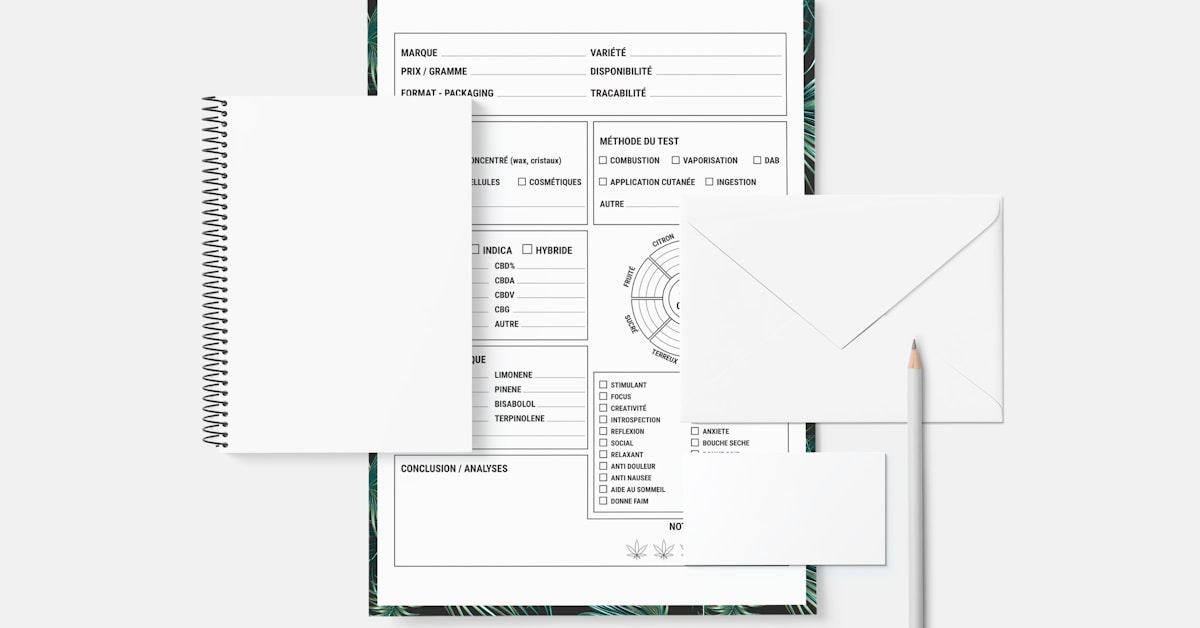 6 Document Optimization Tips to Boost Your Operational Efficiency