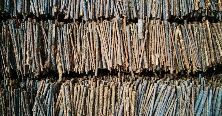 How to Bulk Process Documents: 7 Ways to Optimize Your Operations