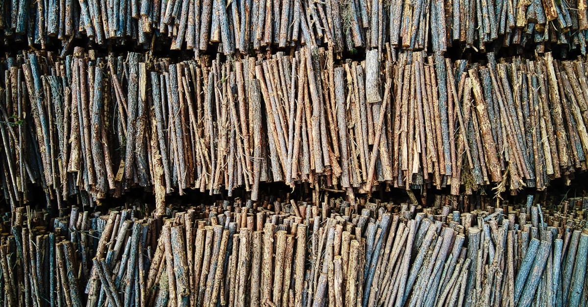 How to Bulk Process Documents: 7 Ways to Optimize Your Operations