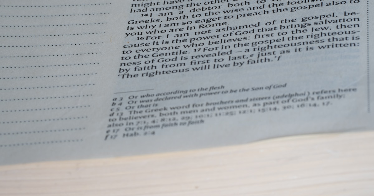 How to Establish Document Standards: 6 Steps to Confidently Pass Audits