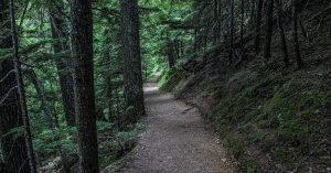 How to Manage Audit Trails for Documents: 6 Ways to Secure Your Compliance