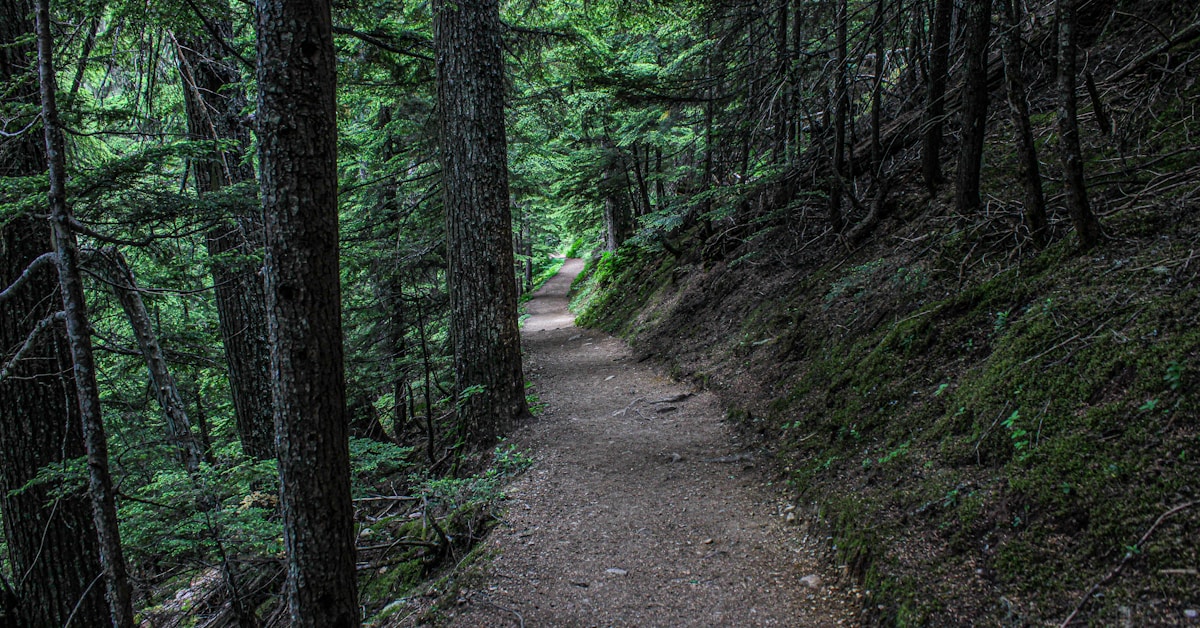 How to Manage Audit Trails for Documents: 6 Ways to Secure Your Compliance