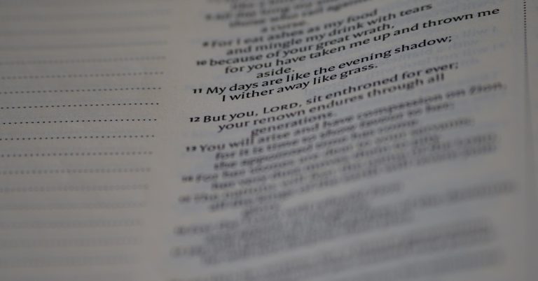 7+ best isoTracker alternatives to Master Your Document Versioning